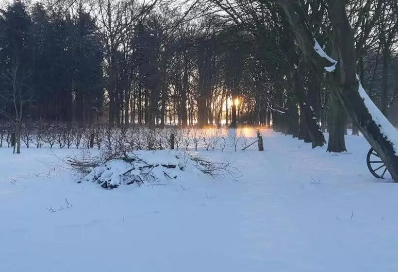 B&b Joostink In Vorden