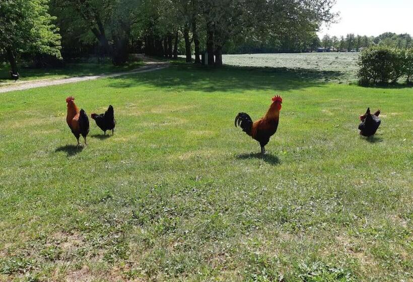 B&b Joostink In Vorden