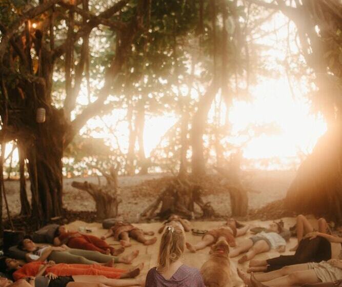 مبيت وإفطار Zunya