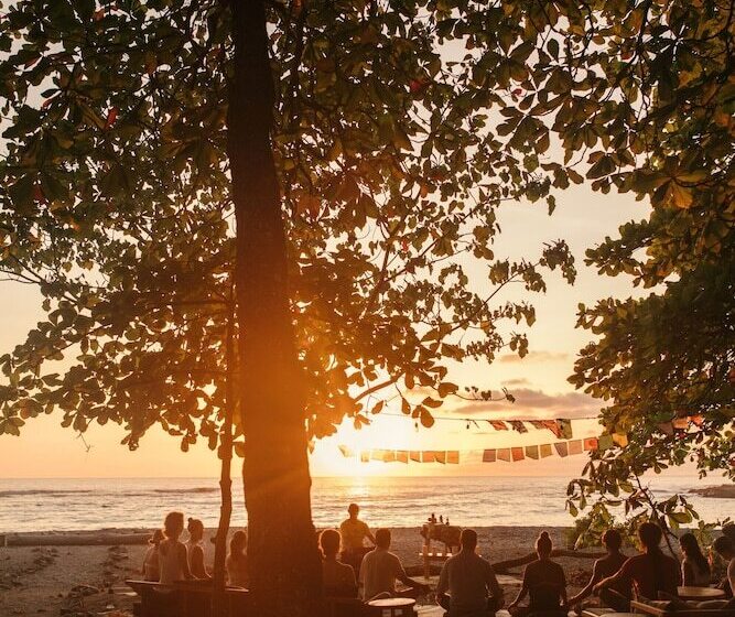 مبيت وإفطار Zunya