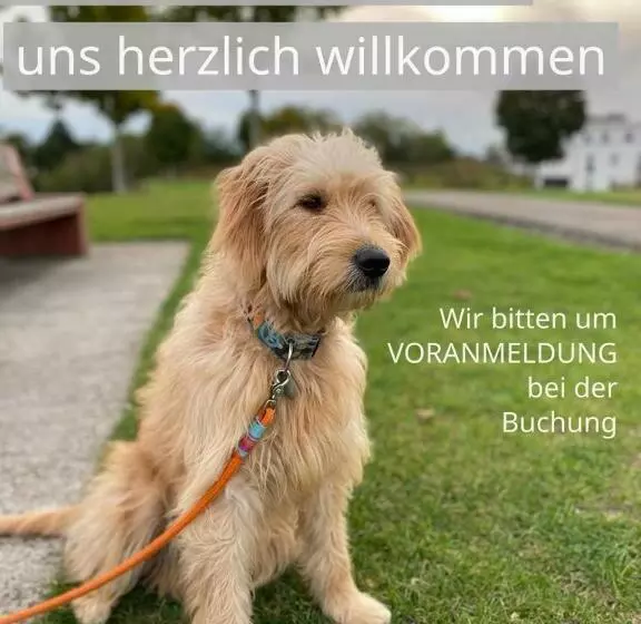 Fewo Johan   Ideal Für 1 2 Personen, Eigene Terrasse