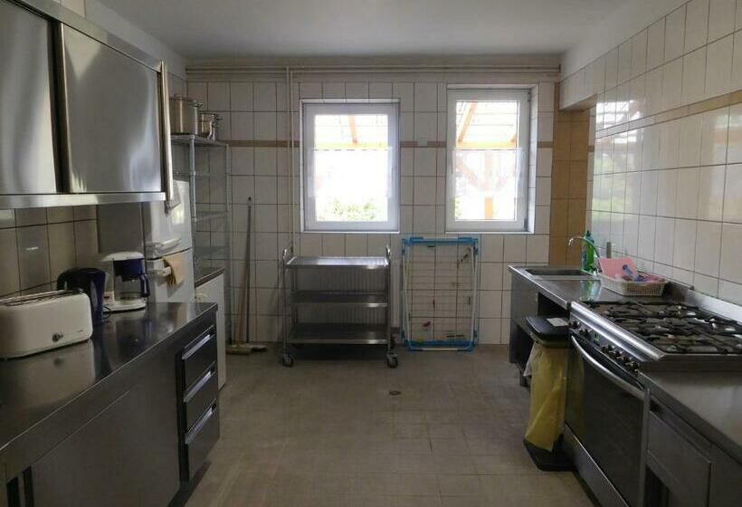 Hostel Waldhaus Am Ferienpark Mehrbett Gruppenzimmer Mit Waschbecken