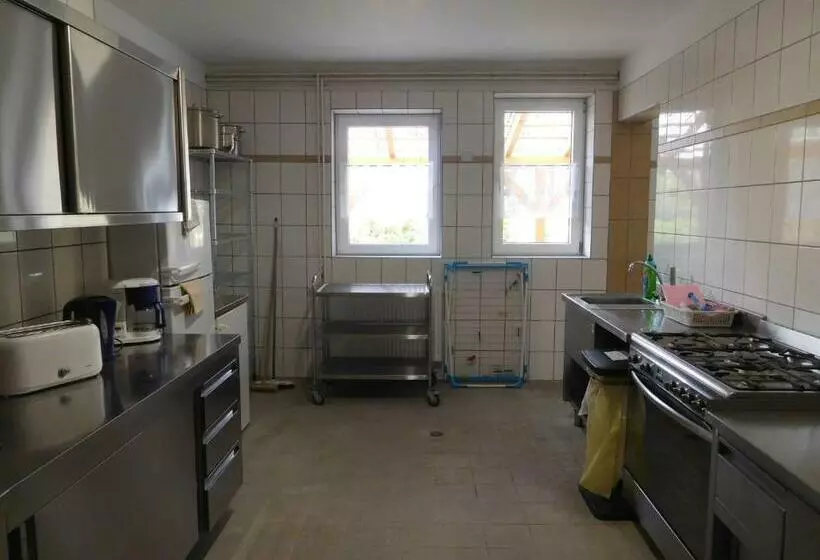 Hostel Waldhaus Am Ferienpark Mehrbett Gruppenzimmer Mit Waschbecken