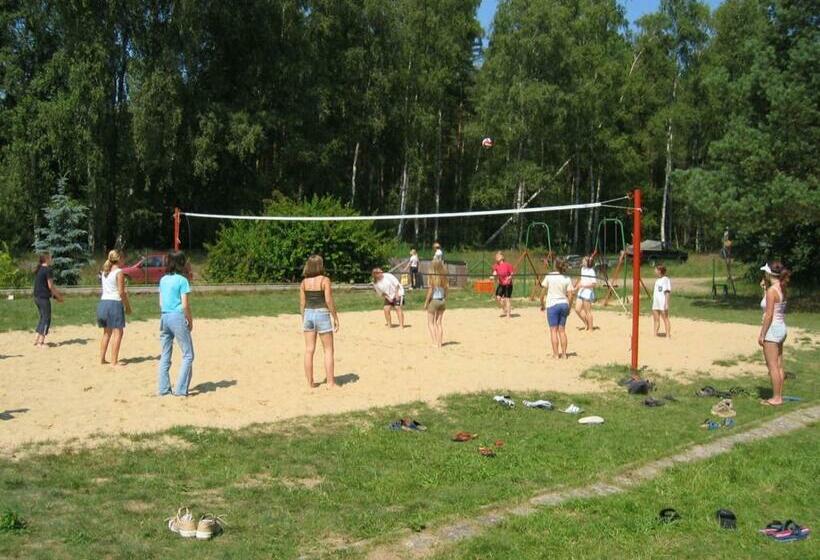 Hostel Waldhaus Am Ferienpark Mehrbett Gruppenzimmer Mit Waschbecken