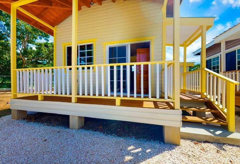 בית מלון כפרי Fla At Hummingbird Estate Gold Standard Certified