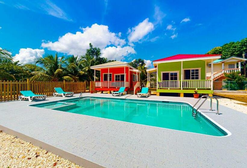 בית מלון כפרי Fla At Hummingbird Estate Gold Standard Certified