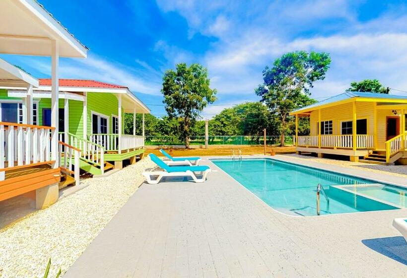 בית מלון כפרי Fla At Hummingbird Estate Gold Standard Certified