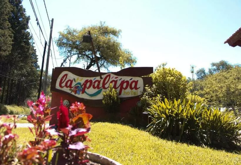La Palapa Apart