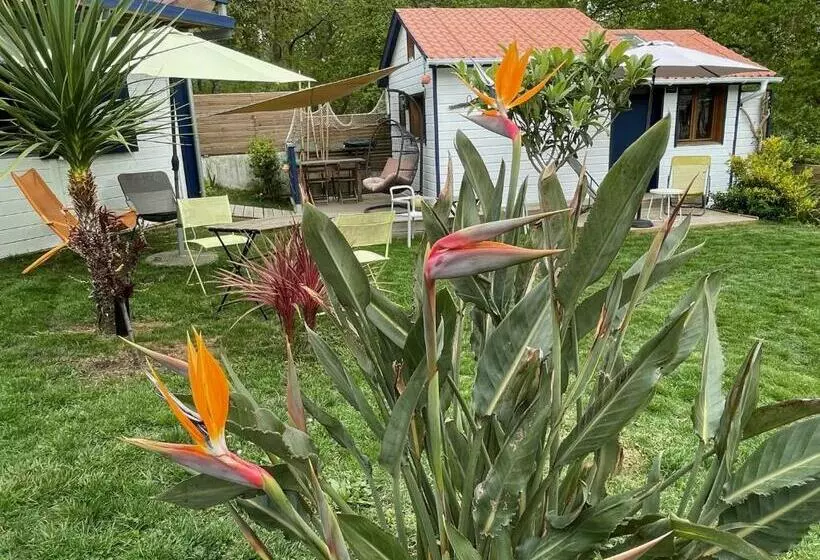 ペンション La Wodapalousa, Surf & Crossfit Guesthouse, 800m From Beach