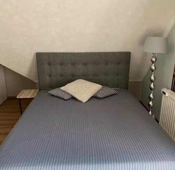 Aamiaismajoitus (B&B) Zoutelande,modern Verblijf Bij De Zee