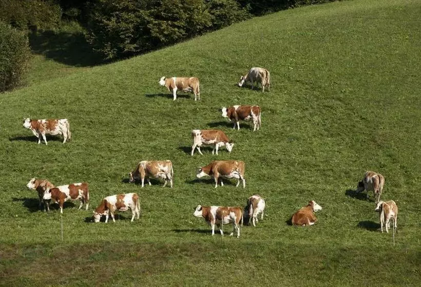 ホテル Zasserlhof Familie Bamberger