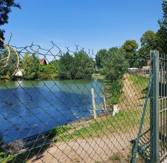 Les Insolites Du Brochet