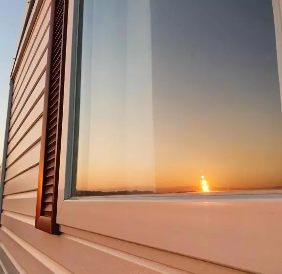 Les Insolites Du Brochet