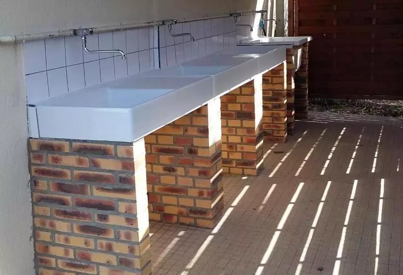 Les Insolites Du Brochet