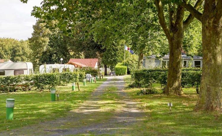 Les Insolites Du Brochet