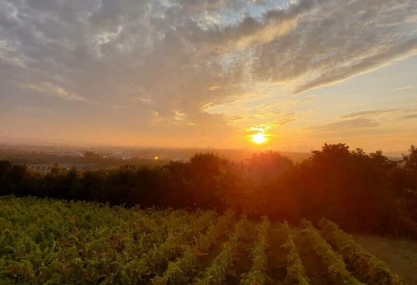 פנסיון Chambre Via Natina