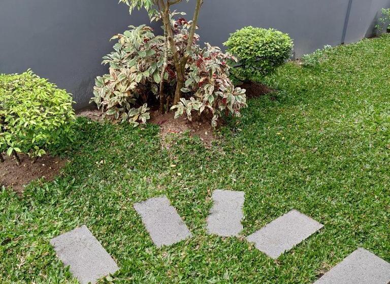 פנסיון Tan Malaka Residence