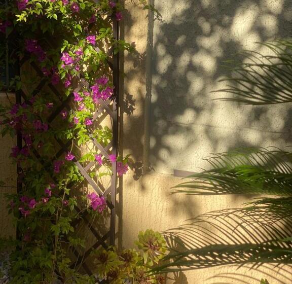 Studio Le Cap Taillât