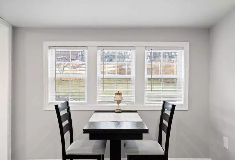 The Twisted Maple   Dogs Stay Free!