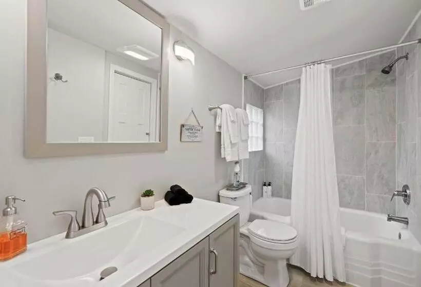 The Twisted Maple   Dogs Stay Free!