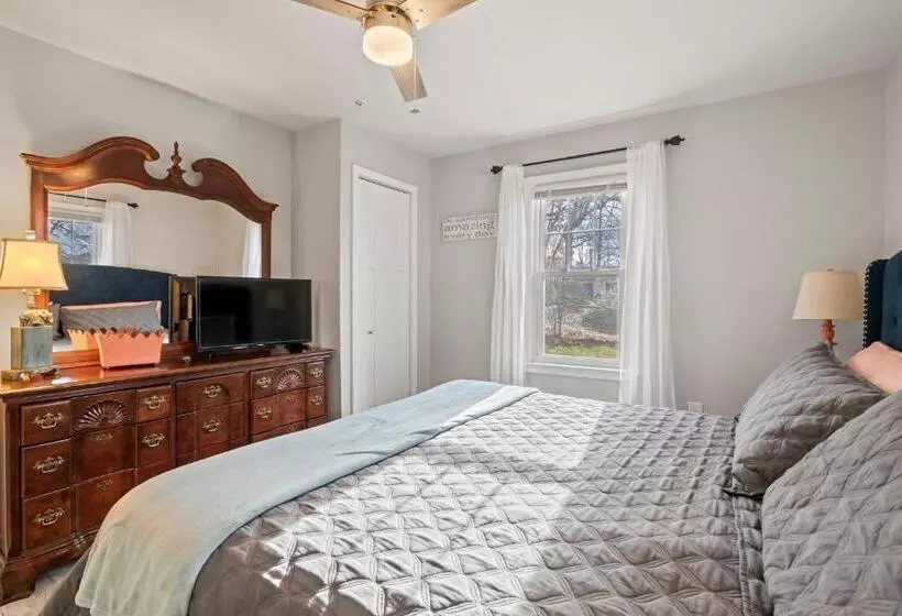 The Twisted Maple   Dogs Stay Free!