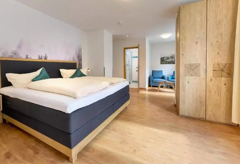 Thermen Appartments Gabriela, Appartement 40 Qm