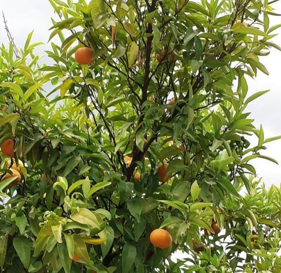 Villa Dos Santos   Gerês Country House