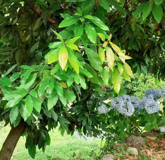 Villa Dos Santos   Gerês Country House