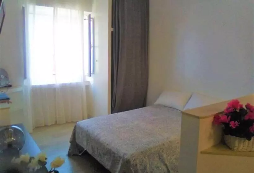 En El Casco Historico De Santa Cruz