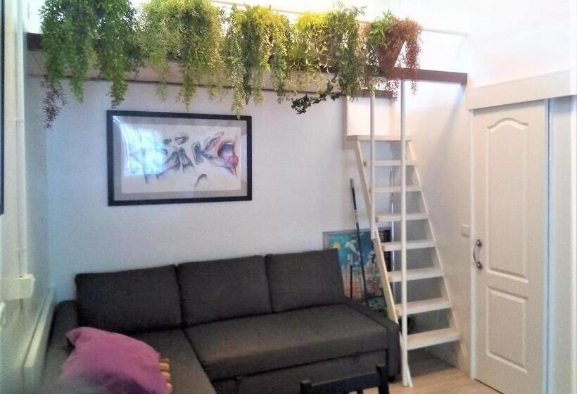 En El Casco Historico De Santa Cruz