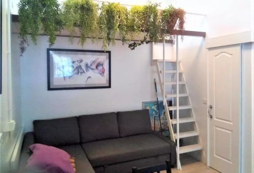 En El Casco Historico De Santa Cruz