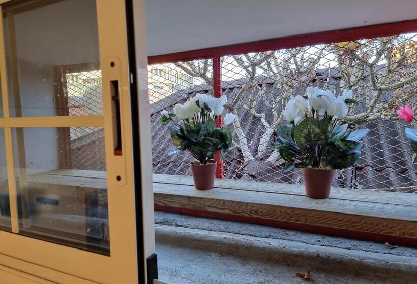 En El Casco Historico De Santa Cruz