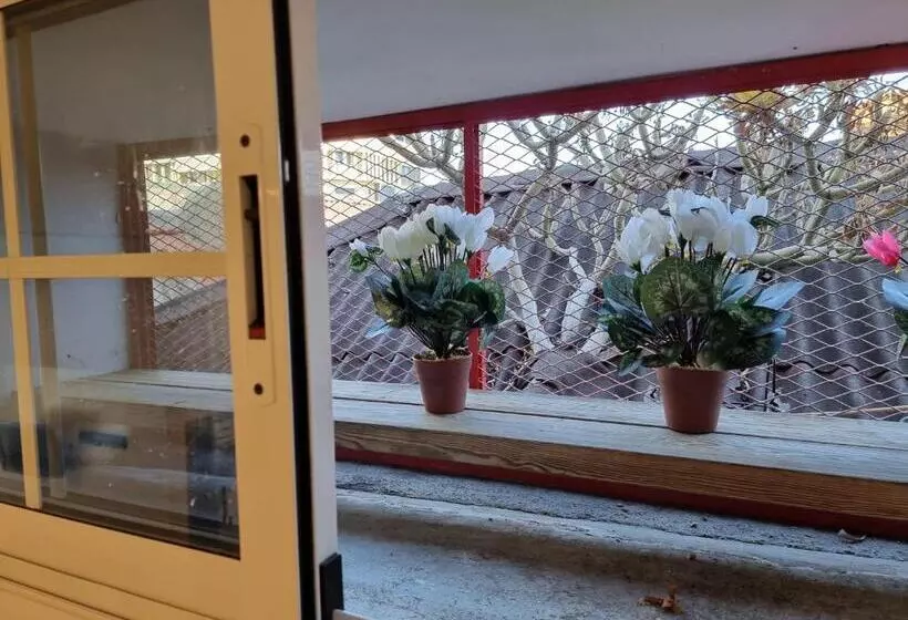 En El Casco Historico De Santa Cruz