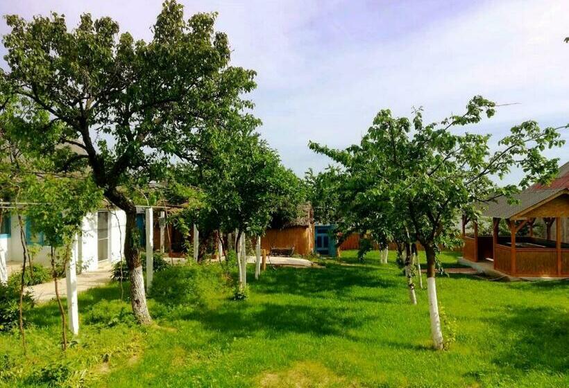 Пансион Casa Batranului Pescar   Old Fisherman S House