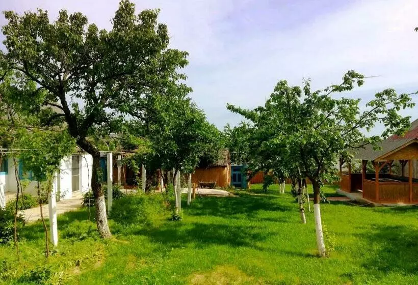 Majatalo Casa Batranului Pescar   Old Fisherman S House