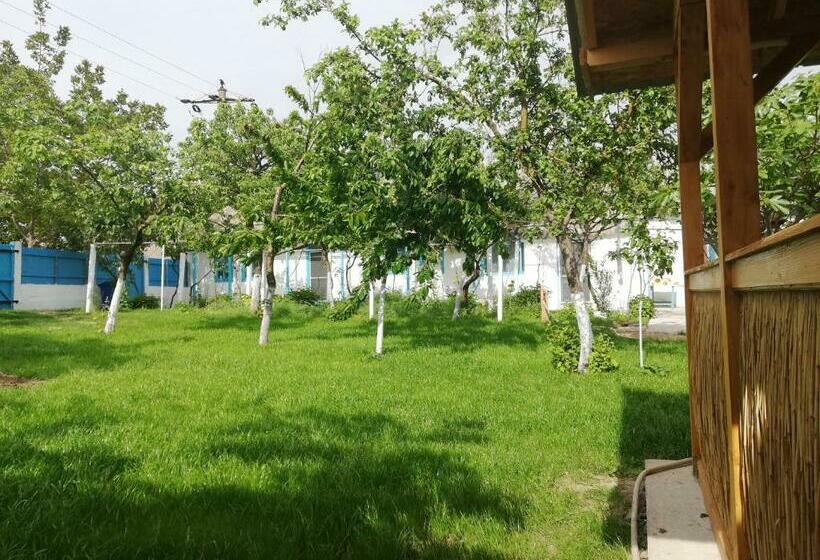 Пансион Casa Batranului Pescar   Old Fisherman S House