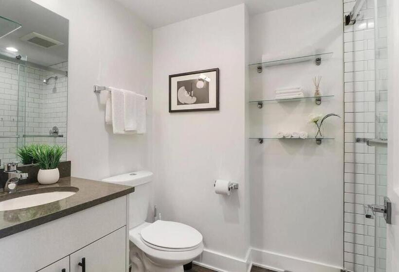 Stylish Studio Apartment With A Modern Kitchen  Wilson 418