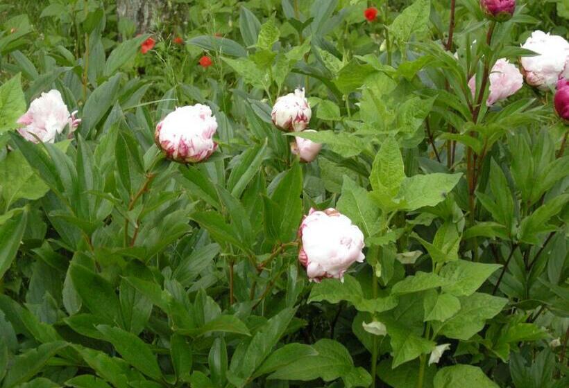 مبيت وإفطار Chambre D Hôtes Esterelle