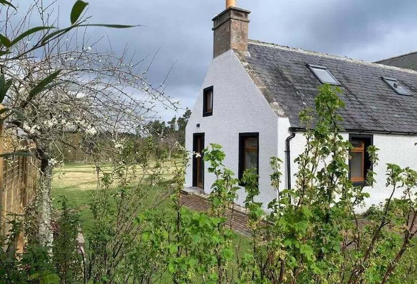 Cosy & Rustic Retreat   Woodland Cottage