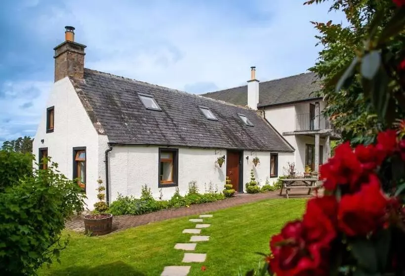 Cosy & Rustic Retreat   Woodland Cottage