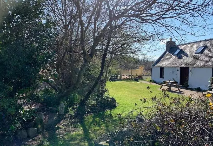 Cosy & Rustic Retreat   Woodland Cottage