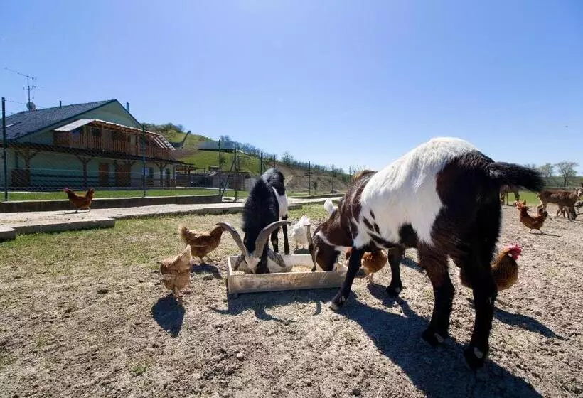 ホテル Apartmány Na Farmě