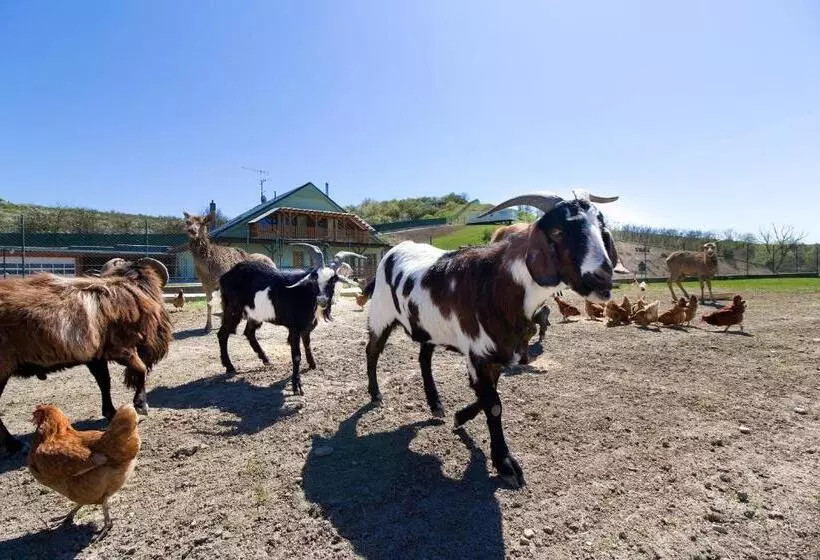 ホテル Apartmány Na Farmě