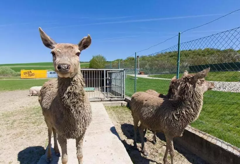 ホテル Apartmány Na Farmě