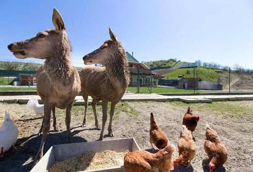 ホテル Apartmány Na Farmě