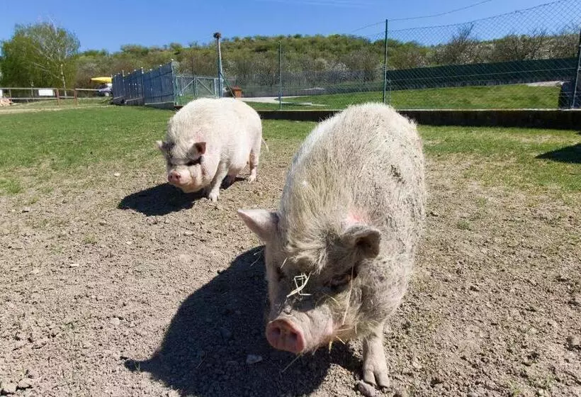 ホテル Apartmány Na Farmě