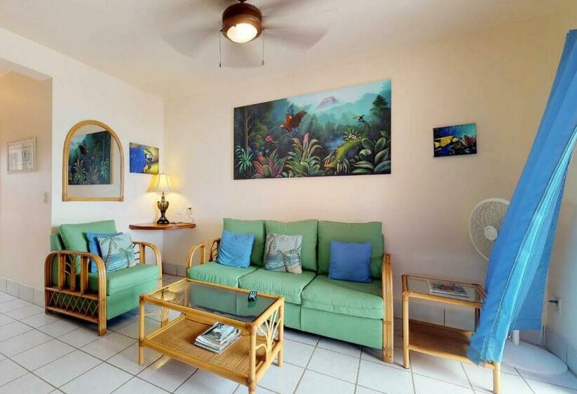 호텔 Bougainvillea @ Caribe Island