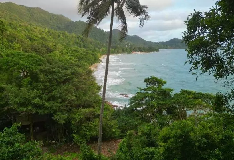 Majatalo Beach Jungle