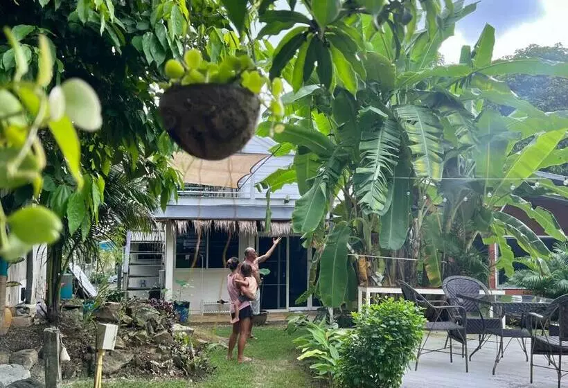 Majatalo Beach Jungle