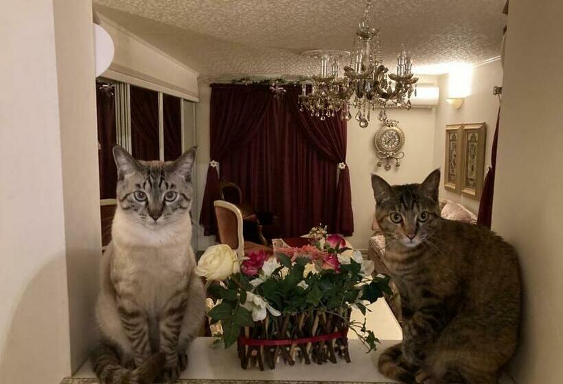 膳宿费 Otsu House / Vacation Stay 2942